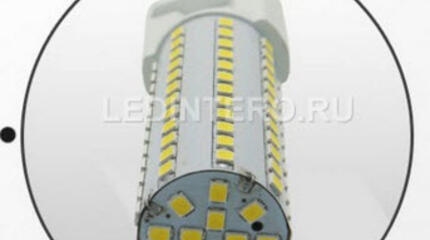 G12 лампа Лединтеро- самая лучшая цена на рынке